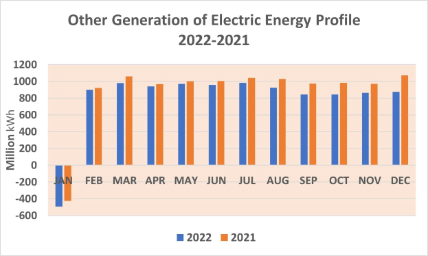 Liniengraph, der den Erzeugungsprofil von elektrischer Energie von 2021 bis 2022 zeigt, mit begleitendem erklärendem Text.