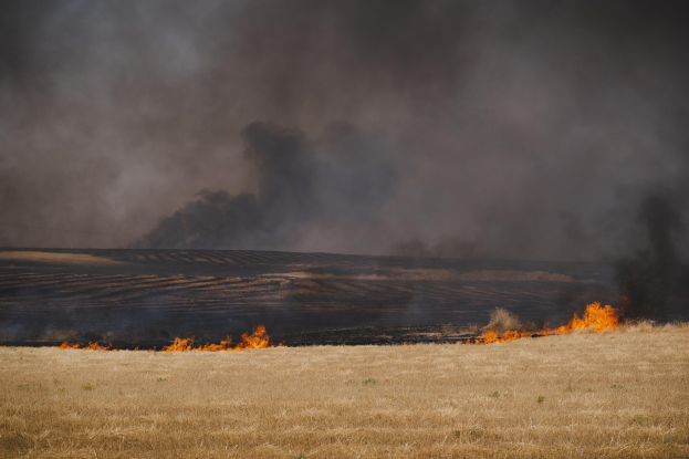 Feuer in einem Grasfeld mit Rauch, der in den Himmel aufsteigt.