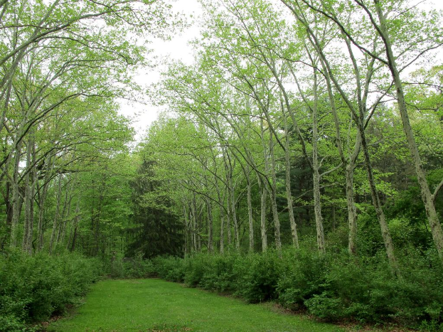 Grüne Umgebung umgibt den Bereich mit Wiesen am unteren Bildrand.
