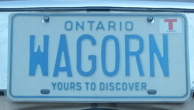 Nummernschild an einem Auto mit der Aufschrift "Wagorn" in fetten schwarzen Buchstaben auf einem weißen Hintergrund.