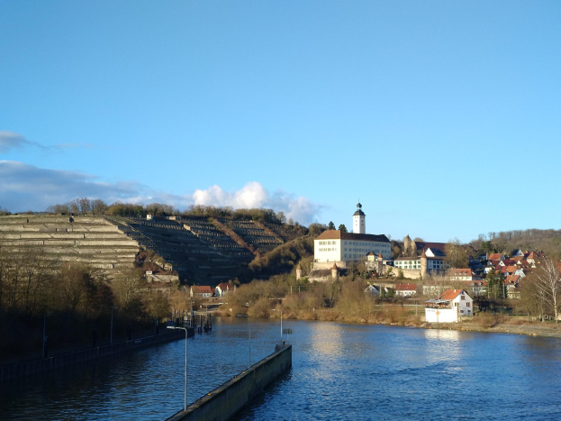 Ein malerischer Blick auf den Rhein in Deutschland, mit einer Brücke, Laternen, Bäumen, Gebäuden entlang der Ufer und einem Hügel im Hintergrund bei bewölktem Himmel.