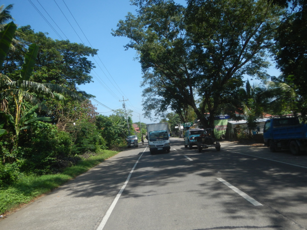 Eine Stra├če mit Fahrzeugen, die zwischen Reihen von B├Ąumen unter einem blauen Himmel mit Strommasten und Dr├Ąhten fahren.