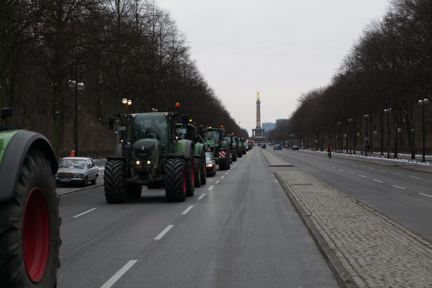 Eine Reihe von Traktoren fährt eine von Bäumen gesäumte Straße entlang mit einem Turm und einem klaren blauen Himmel im Hintergrund.