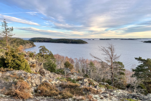 Atemberaubender Ausblick von einem Hügel aus über einen See, mit Bäumen, Pflanzen und Felsen im Vordergrund und einer bewölkten Himmel im Hintergrund.