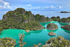 Ein atemberaubender Blick auf einen See, umgeben von grünen Bäumen und Felsen, mit einer wolkenverhangenen Himmel als Hintergrund, der die Schönheit von Raja Ampat, Indonesien, darstellt.