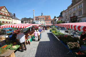 Ein belebter Markt im historischen Zentrum von Heidelberg mit Menschen, die spazieren gehen, auf Bänken sitzen und in der Nähe von Zelten stehen, mit Gemüsekörben auf Tischen, Gebäuden mit Fenstern, Bäumen und einem klaren blauen Himmel im Hintergrund.