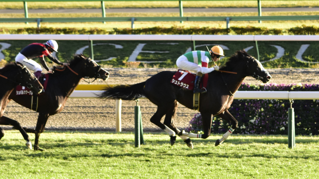 Zwei Jockeys mit Helmen reiten Pferde auf einer von Grün umgebenen Bahn, mit einem Geländer und einer Texttafel im Hintergrund.