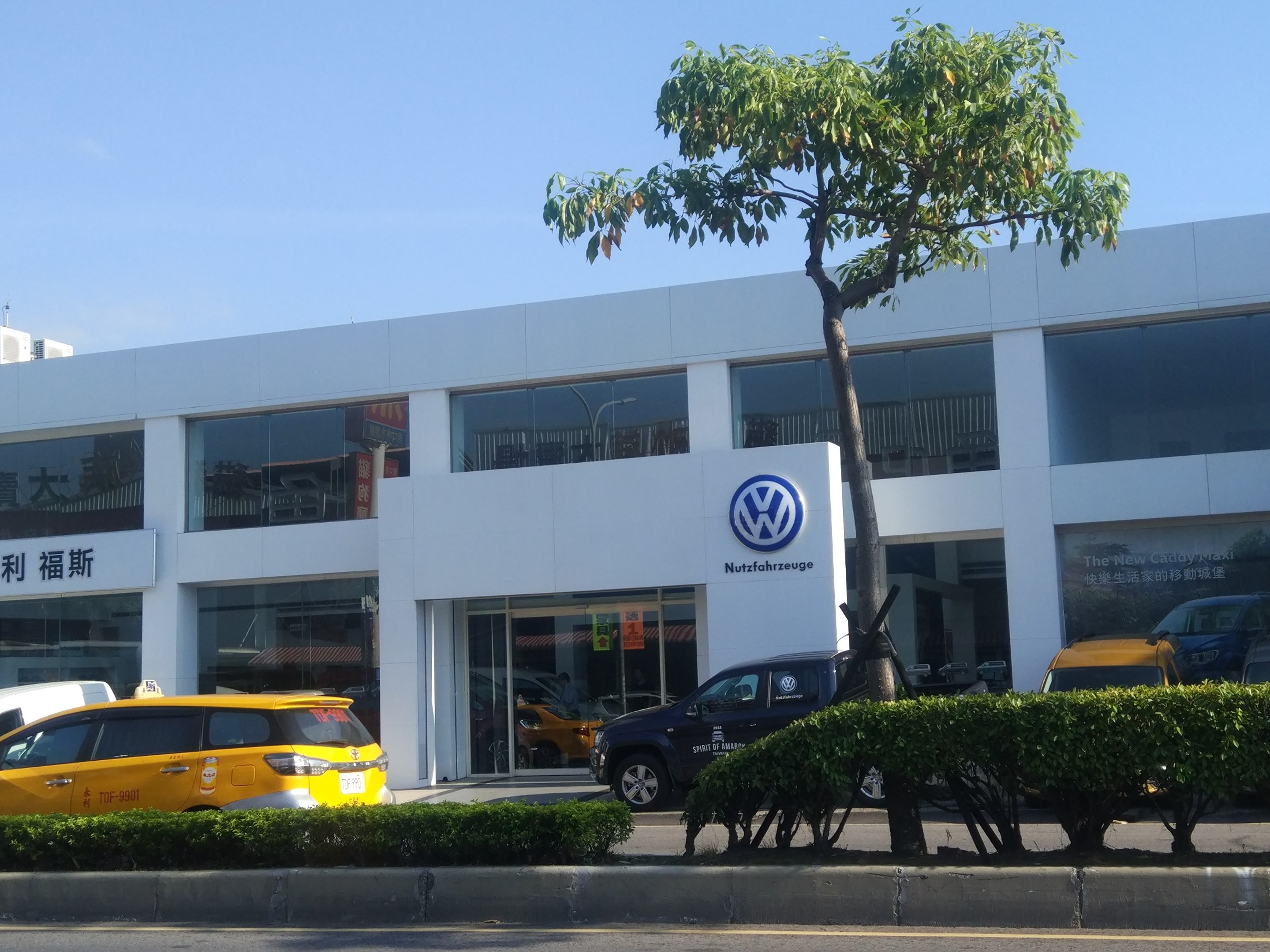 Ein Volkswagen Autohaus mit Glaswänden und Fenstern, das Autos zeigt, die vor dem Gebäude geparkt sind, umgeben von Pflanzen und einem Baum unter einem sichtbaren Himmel.
