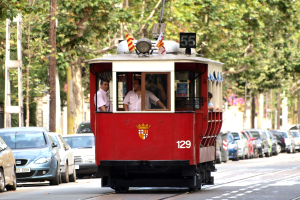 Rote Tram auf einer Stadtstraße mit Autos, Passagieren im Inneren, Bäumen und Strommasten im Hintergrund.