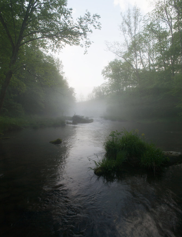 Wasser am unteren Bildrand mit Grünzeug im Hintergrund.