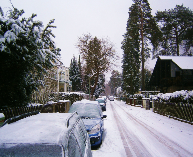 Schneebedeckte Straße mit parkenden Autos, Bäumen, Gebäuden und Himmel