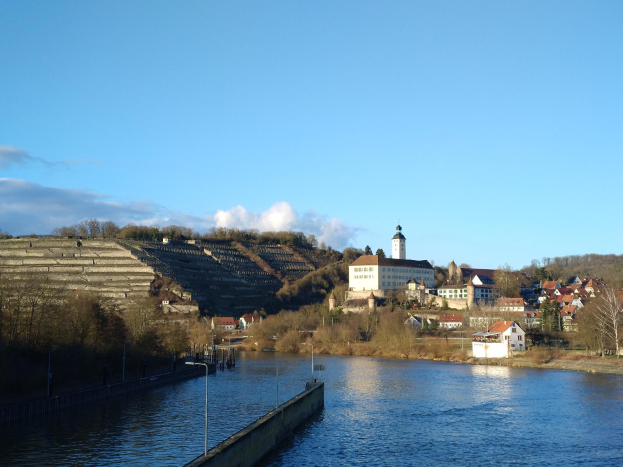 Ein malerischer Blick auf den Rhein in Deutschland, mit einer Brücke, die den Fluss überspannt, Laternenpfählen an den Ufern, Bäumen und Gebäuden entlang der Flussufer und einem Hügel im Hintergrund unter einem bewölkten Himmel.