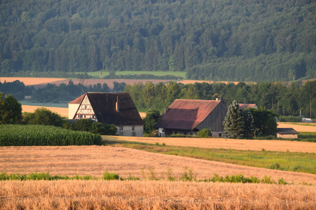 Ein Hof liegt inmitten eines Feldes mit hohem Gras, Pflanzen und Bäumen, mit Häusern im Vordergrund und einem bewaldeten Hügel im Hintergrund.