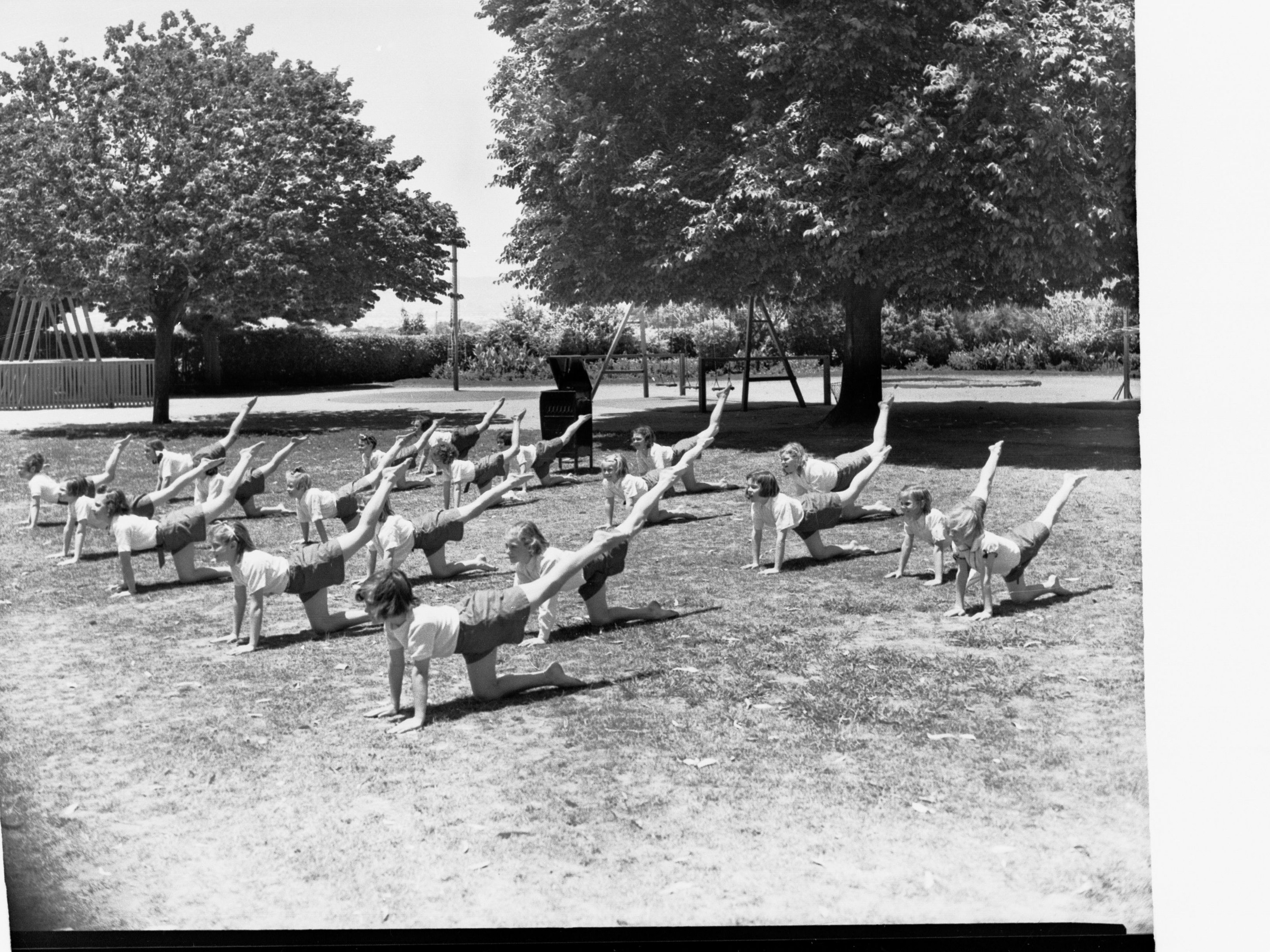 Schwarzes und weißes Foto einer Gruppe von Menschen, die Yoga im Freien in einem Park umgeben von Bäumen und Pflanzen machen.