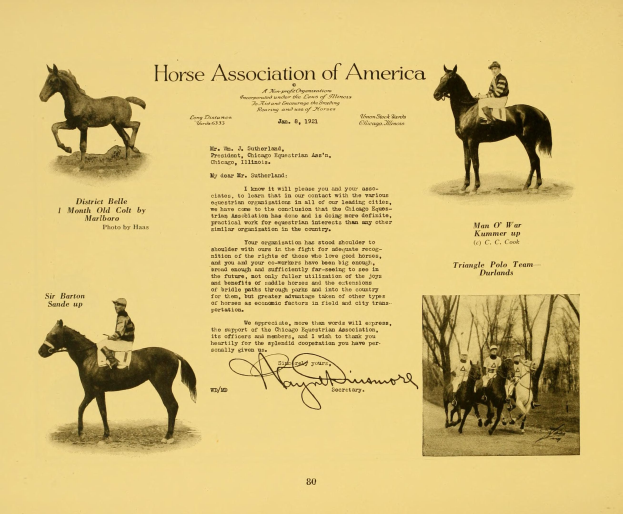 Ein altes Papier mit Bildern verschiedener Pferde und Menschen in traditioneller Kleidung, die sie reiten, mit der Aufschrift "Pferdeverband der USA" in einer klassischen Schriftart.