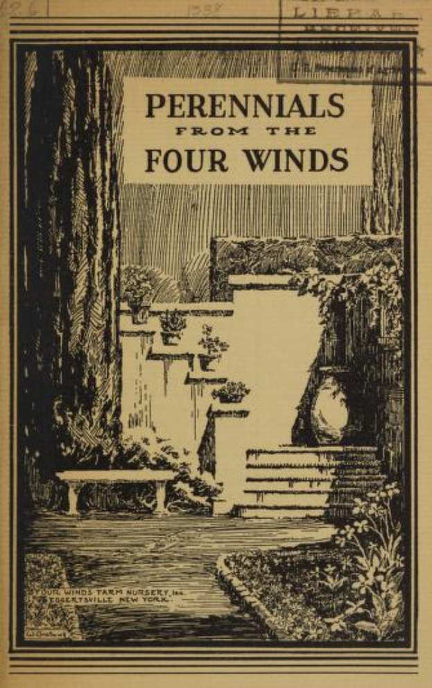Ein Blatt Papier mit einer Zeichnung einer Bank, Stufen, Pflanzen und Bäumen, mit der Aufschrift "Perennials from the Four Winds" oben drauf, vor einem hellblauen Himmel.