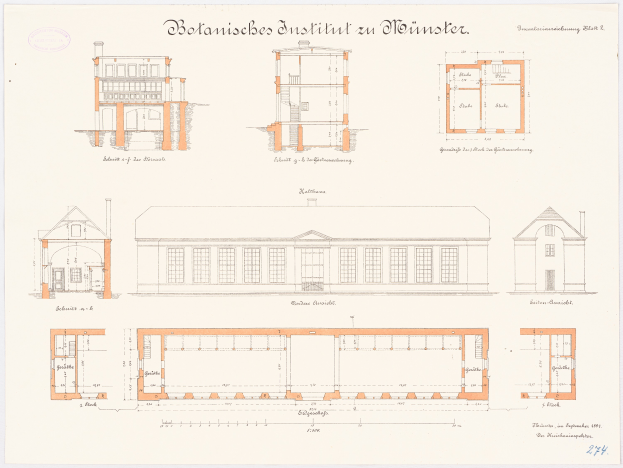 Ein detailliertes architektonisches Zeichnung des Botanischen Instituts zu M├╝nster, das ein Geb├Ąude mit zahlreichen Fenstern zeigt, begleitet von Pl├Ąnen und beschreibendem Text.