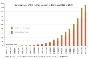 Eine Liniengrafik, die den Anstieg der Wolfspopulation in Deutschland von 2000 bis 2021 zeigt, mit begleitendem Text, der zusätzliche Datendetails bereitstellt.