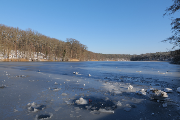Ein zugefrorener See mit glitzerndem Eis in der Sonne, umgeben von Schnee und Bäumen, unter einem klaren Himmel.