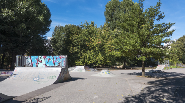 Eine Skate-Anlage mit graffiti-bedeckten Rampen, umgeben von Bäumen und Gebäuden unter einem bewölkten Himmel.
