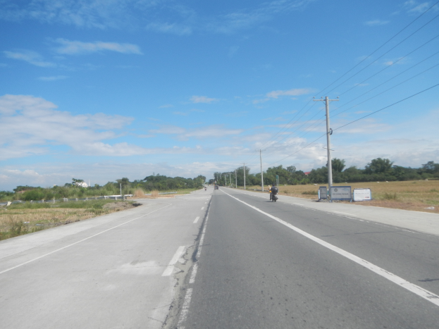 Eine Person fährt mit einem Motorrad auf einer Hauptstraße, umgeben von Strommasten, Schildern, Gras, Bäumen und einem bewölkten Himmel.