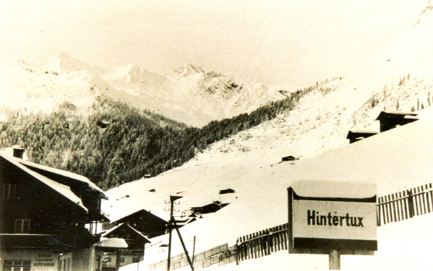 Ein Schwarz-Weiß-Foto einer Skistation mit Häusern, Pfählen, einem Zaun, einer Platte und Bäumen im Vordergrund und Bergen im Hintergrund.