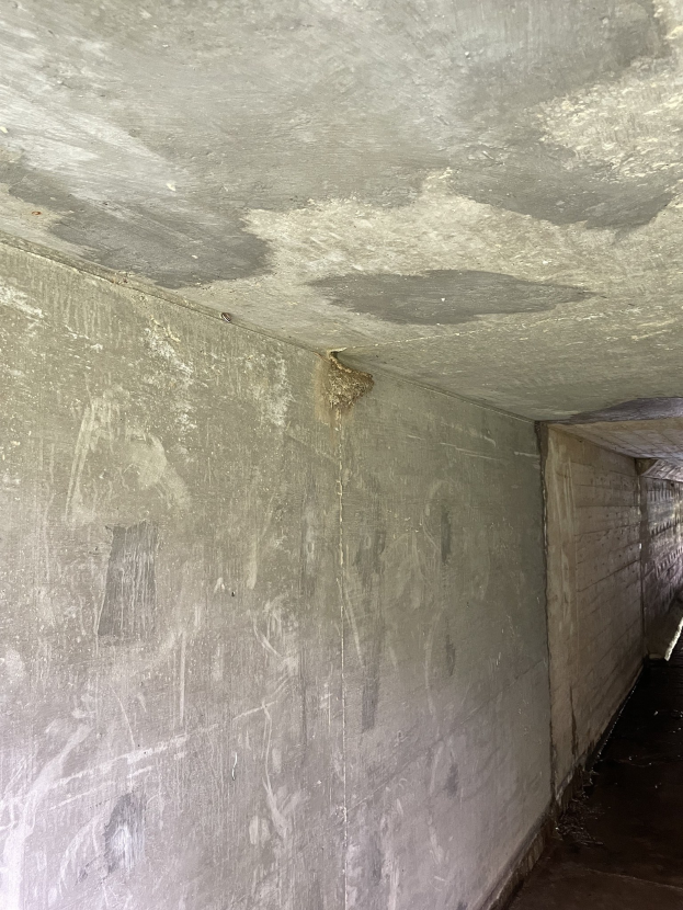 Langer Betonflur mit schimmelbedeckten Wänden und Decke, einige Gegenstände auf dem Boden verstreut, zeigen Zeichen von Verfall.