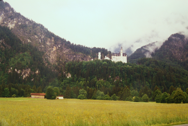Neuschwanstein Burg in Bayern, Deutschland, umgeben von üppiger Vegetation, mit einer Straße, die hinaufführt, und majestätischen Bergen und einem klaren blauen Himmel im Hintergrund.