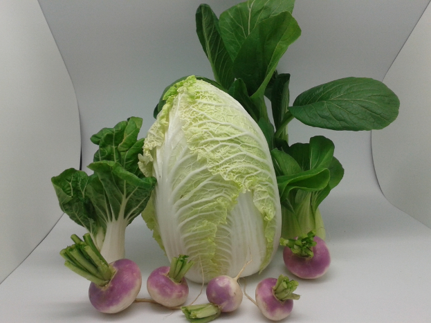 Kohl und Zwiebeln auf einem Regal.